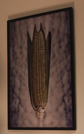 corn